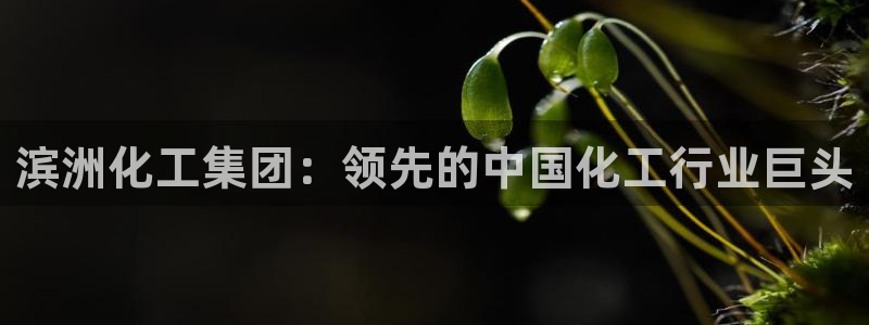 球盟会综合体育平台