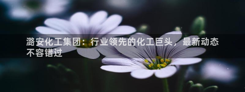 球盟会qmh