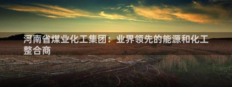 球盟会进不去球员吗