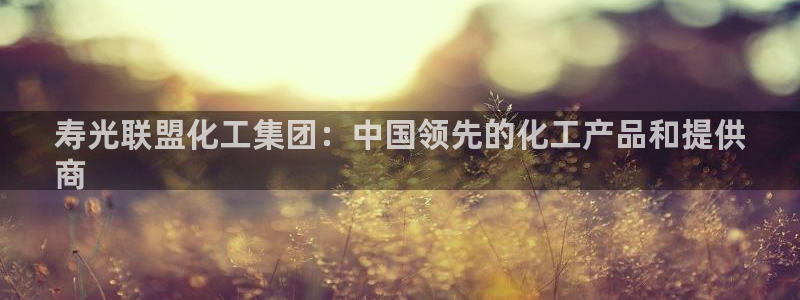 球盟会官方登录平台