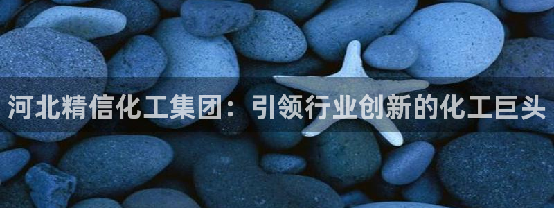 球盟会最新活动