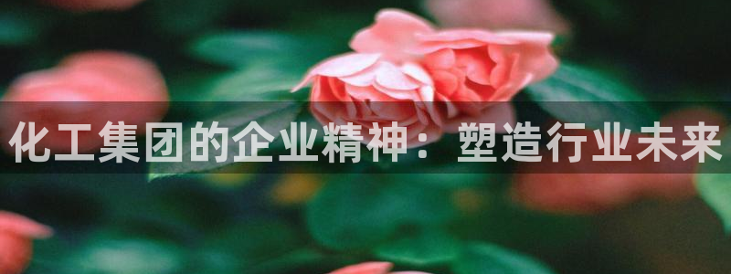 球盟会官方网站app