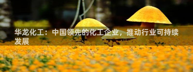 球盟会app入口：华龙化工：中国领先的化工企业，推动行业可持