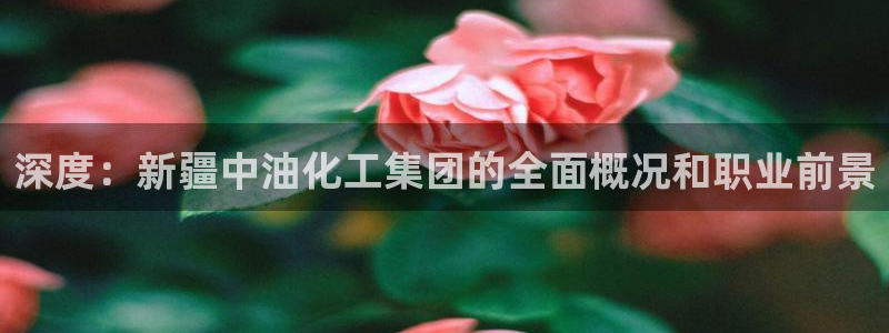 球盟会游戏几点玩合适：深度：新疆中油化工集团的全面概况和职业