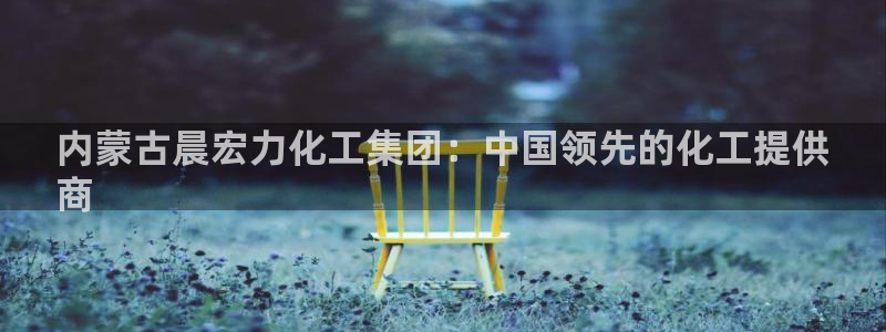 球盟会可靠不：内蒙古晨宏力化工集团：中国领先的化工提供
商