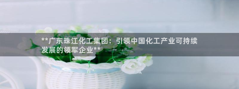 球盟会手机网页版：**广东珠江化工集团：引领中国化工产业可持