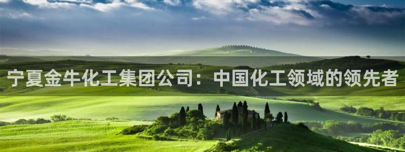 球盟会登录网址：宁夏金牛化工集团公司：中国化工领域的领先者